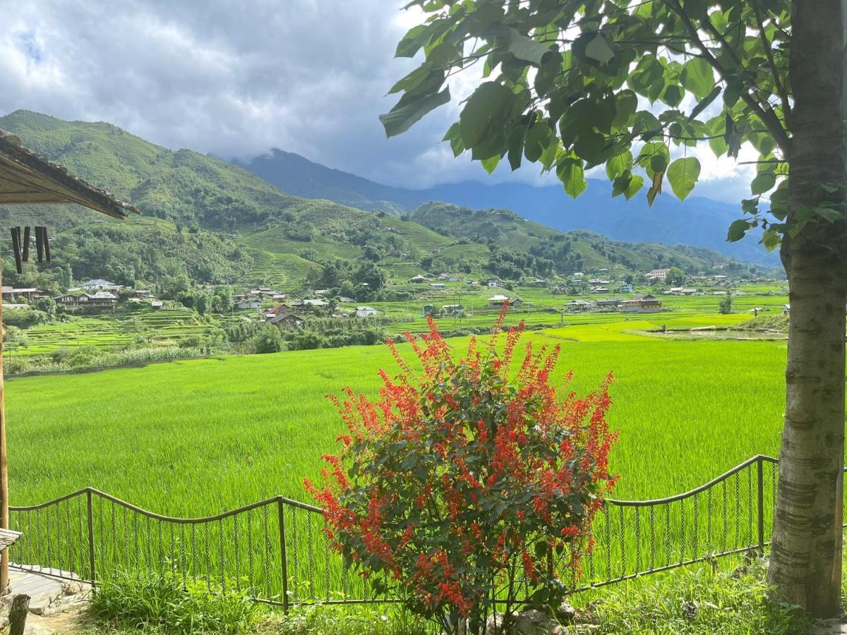 Гостьовий будинок Sapa Bamboo Eco Екстер'єр фото