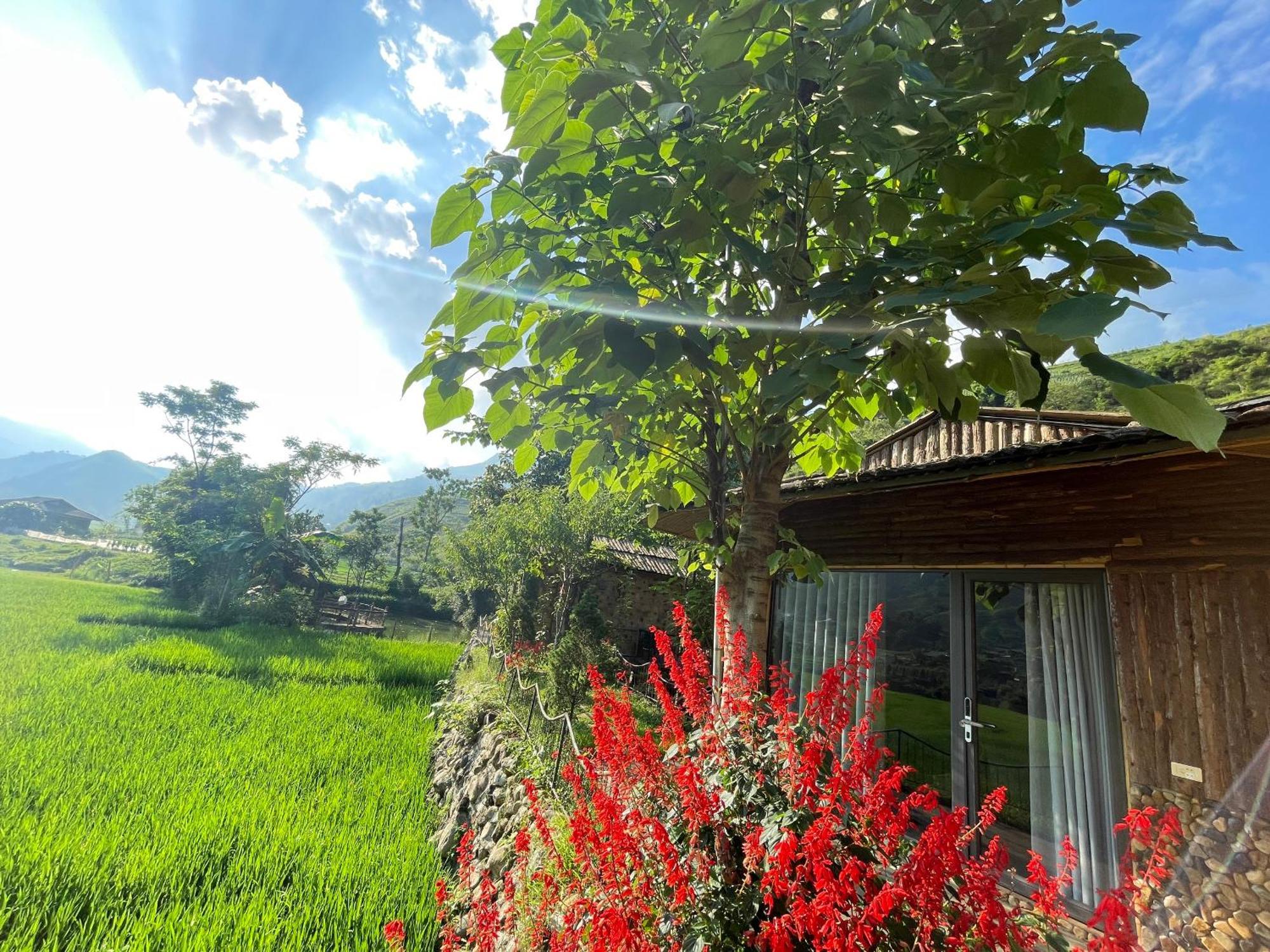 Гостьовий будинок Sapa Bamboo Eco Екстер'єр фото