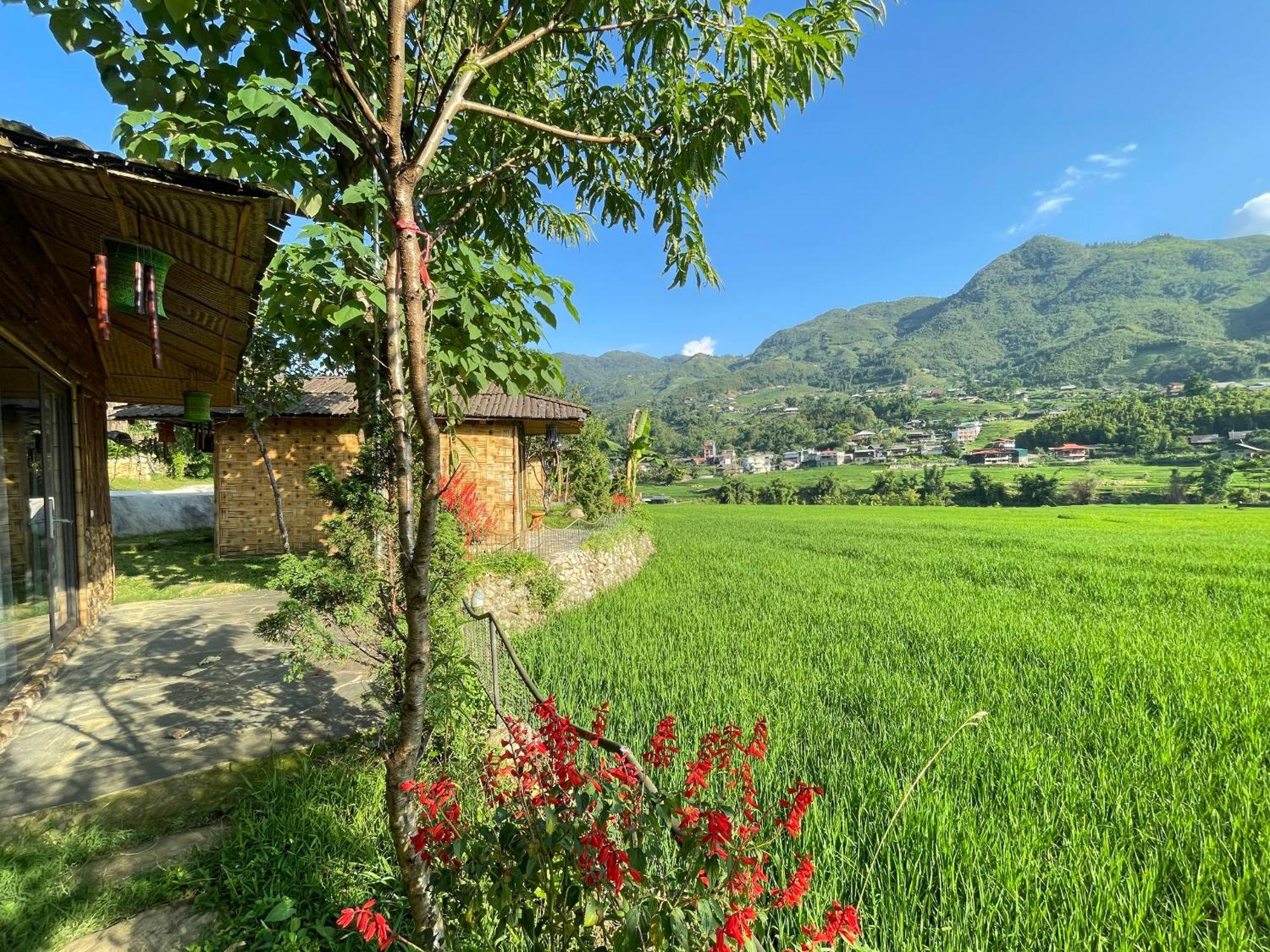 Гостьовий будинок Sapa Bamboo Eco Екстер'єр фото